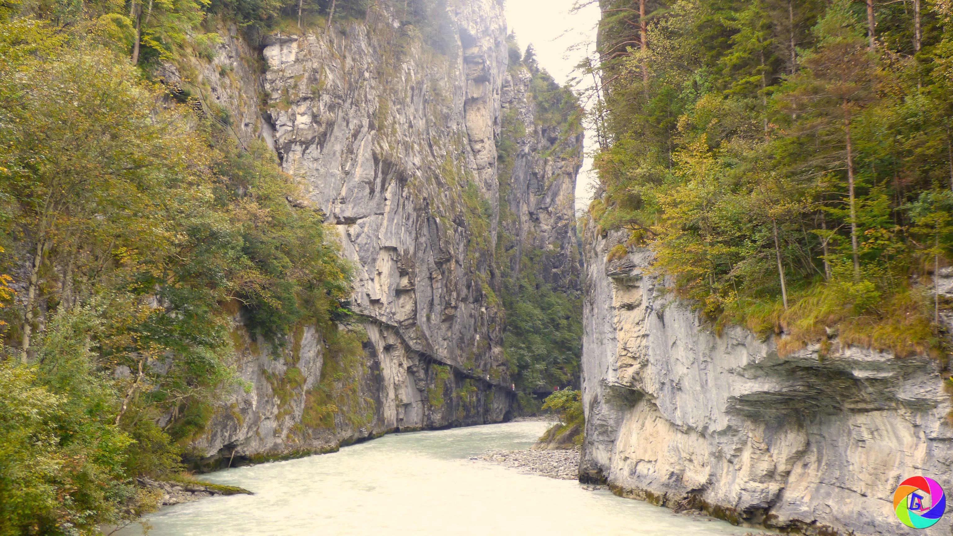 "The gorge of the river Aare"